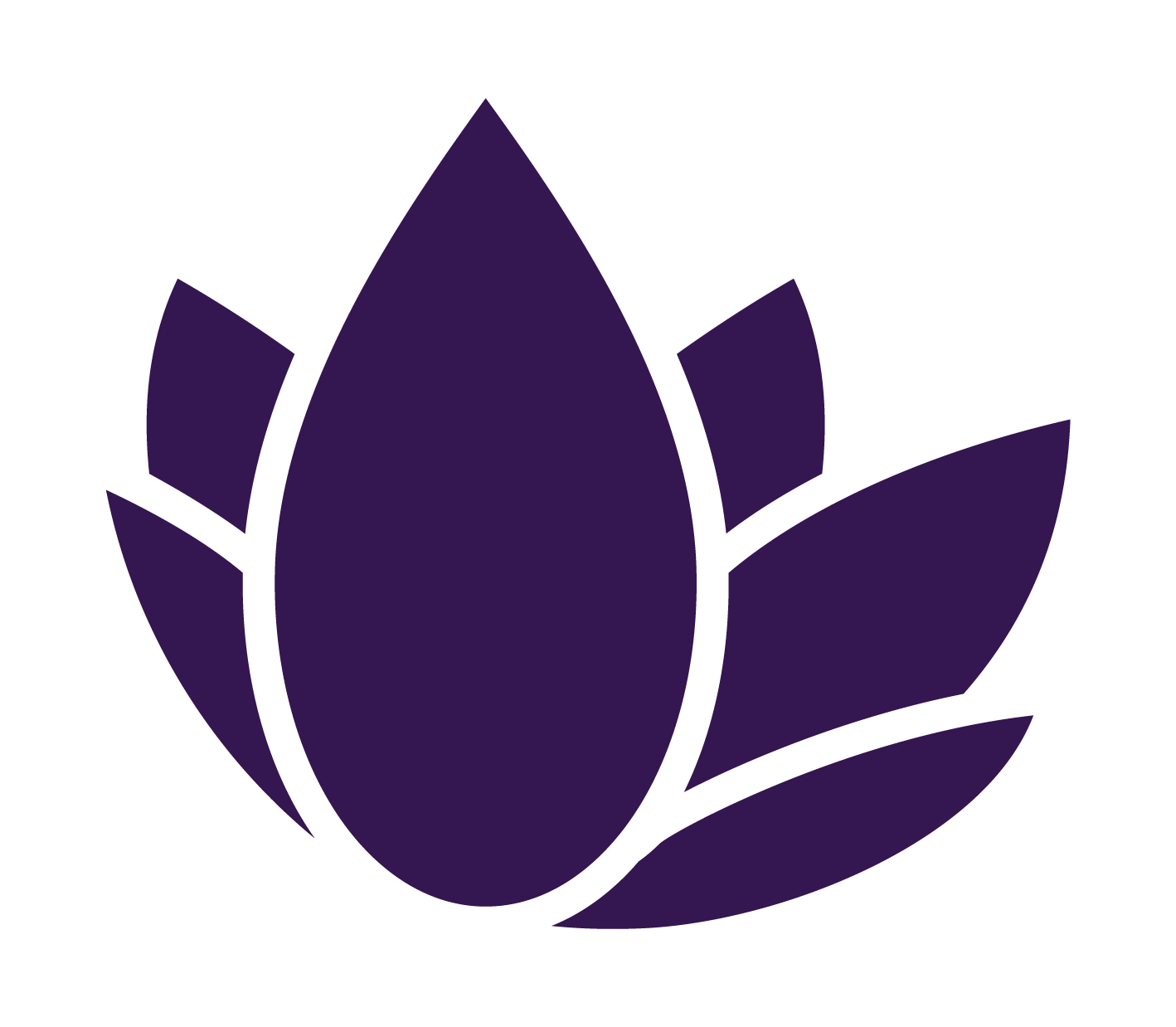 Nanolex